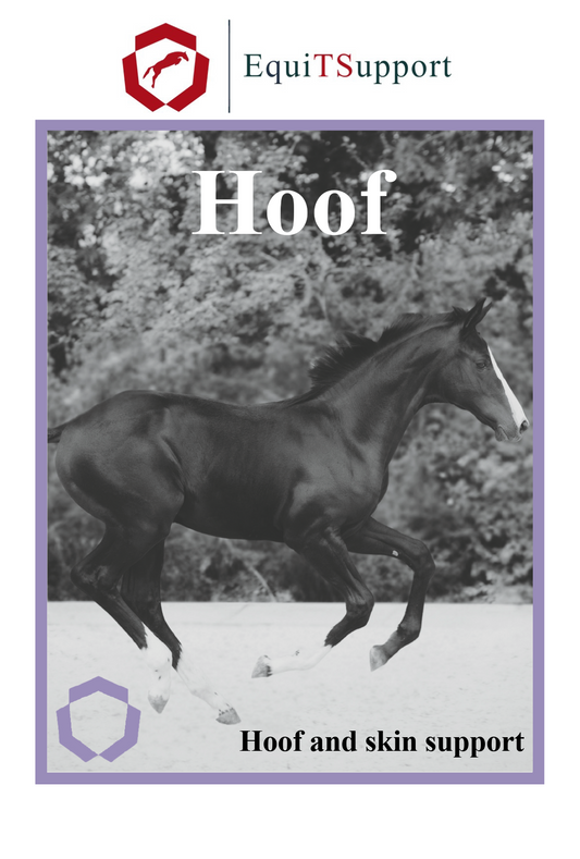 Hoof