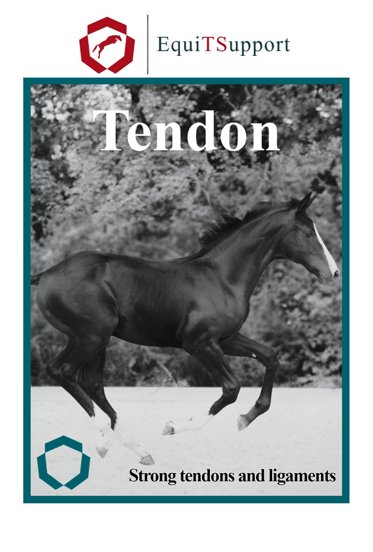 Tendon