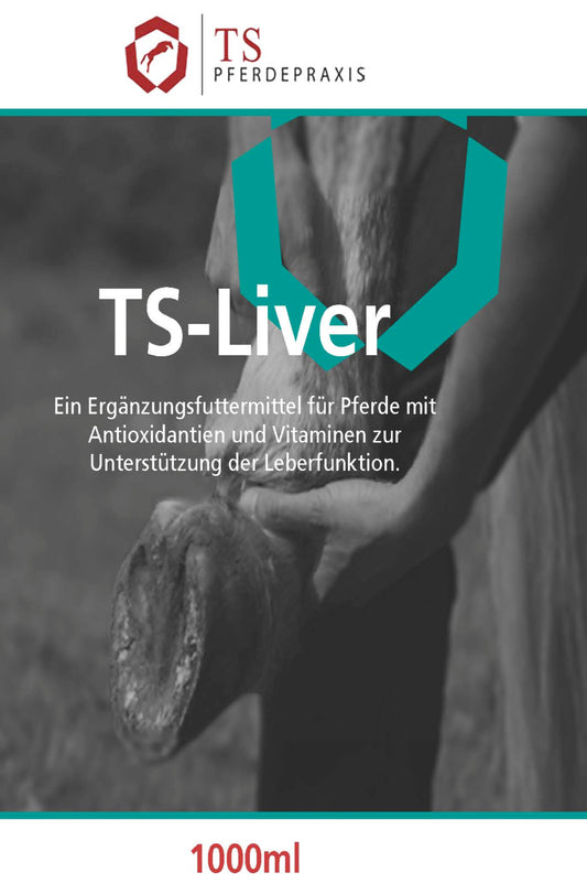 Liver
